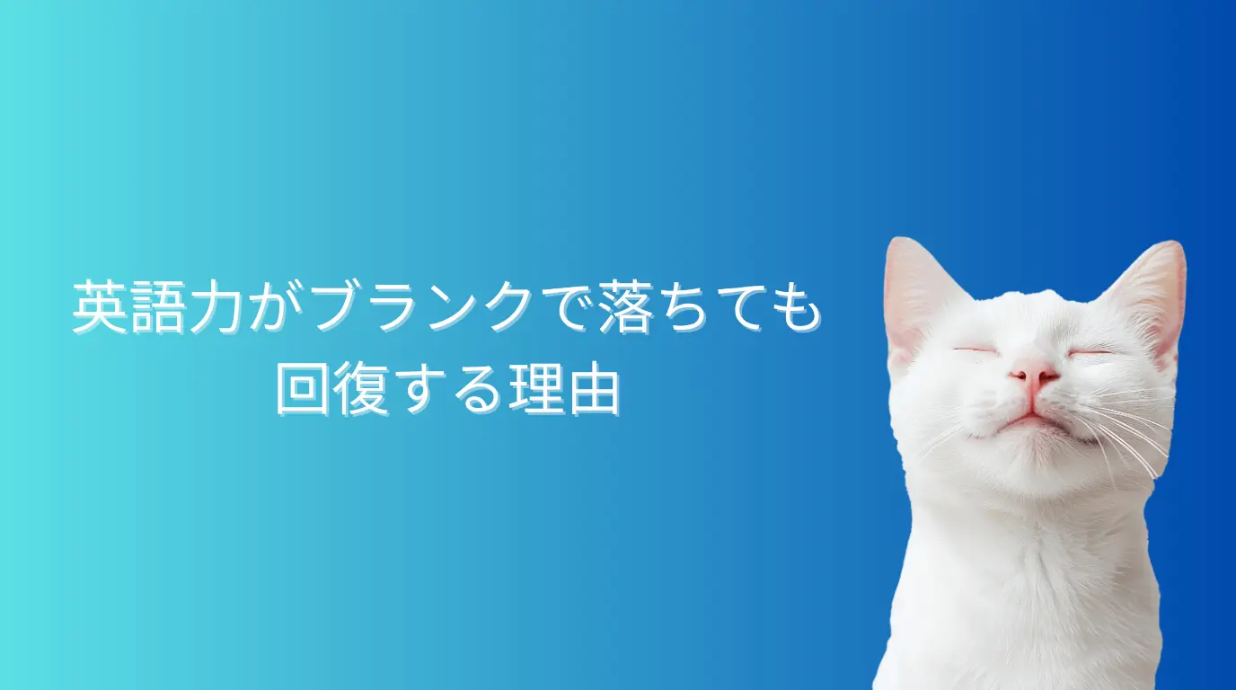 英語力はブランクで落ちても回復する