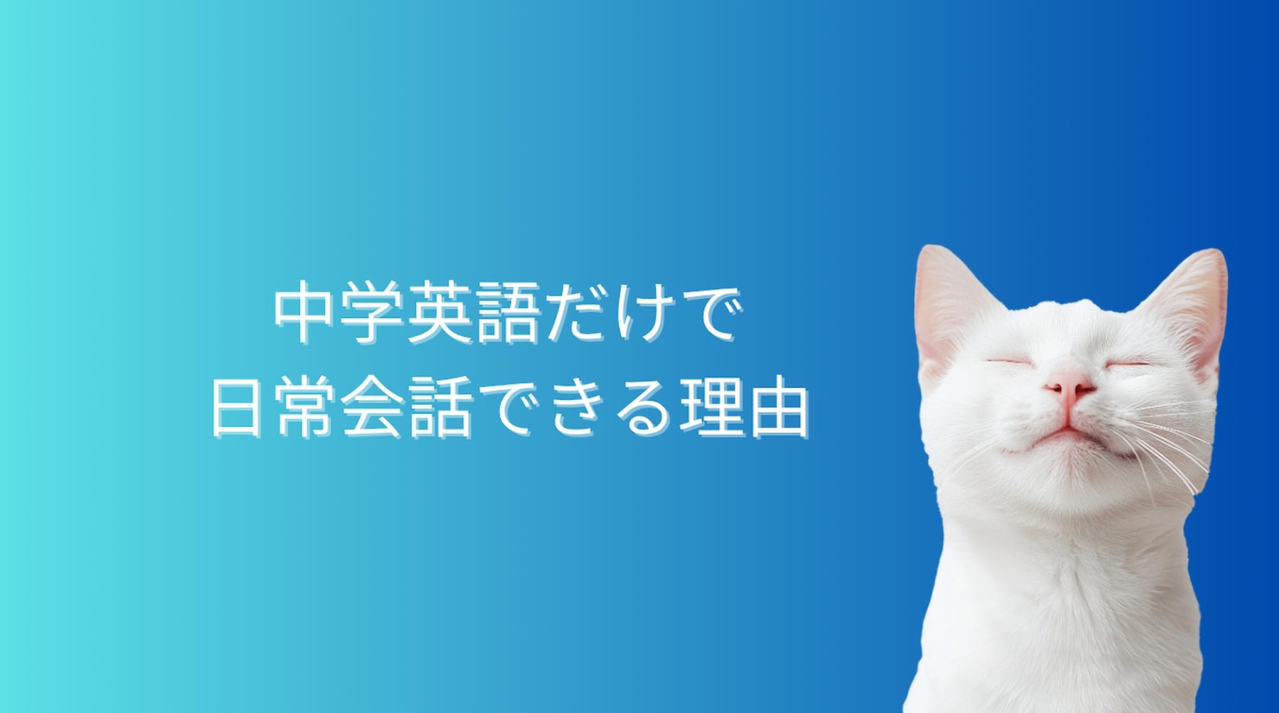中学英語で日常会話できる理由を解説